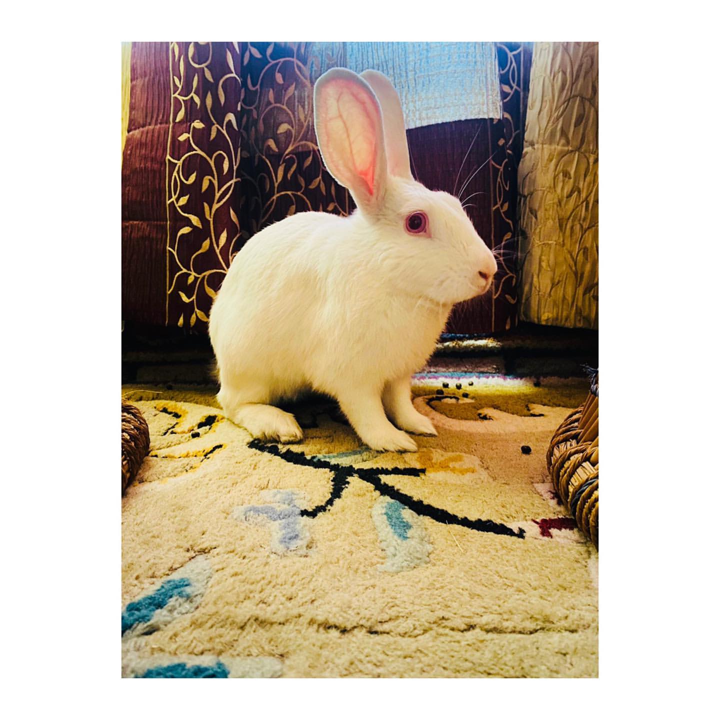 Handsome Hazel