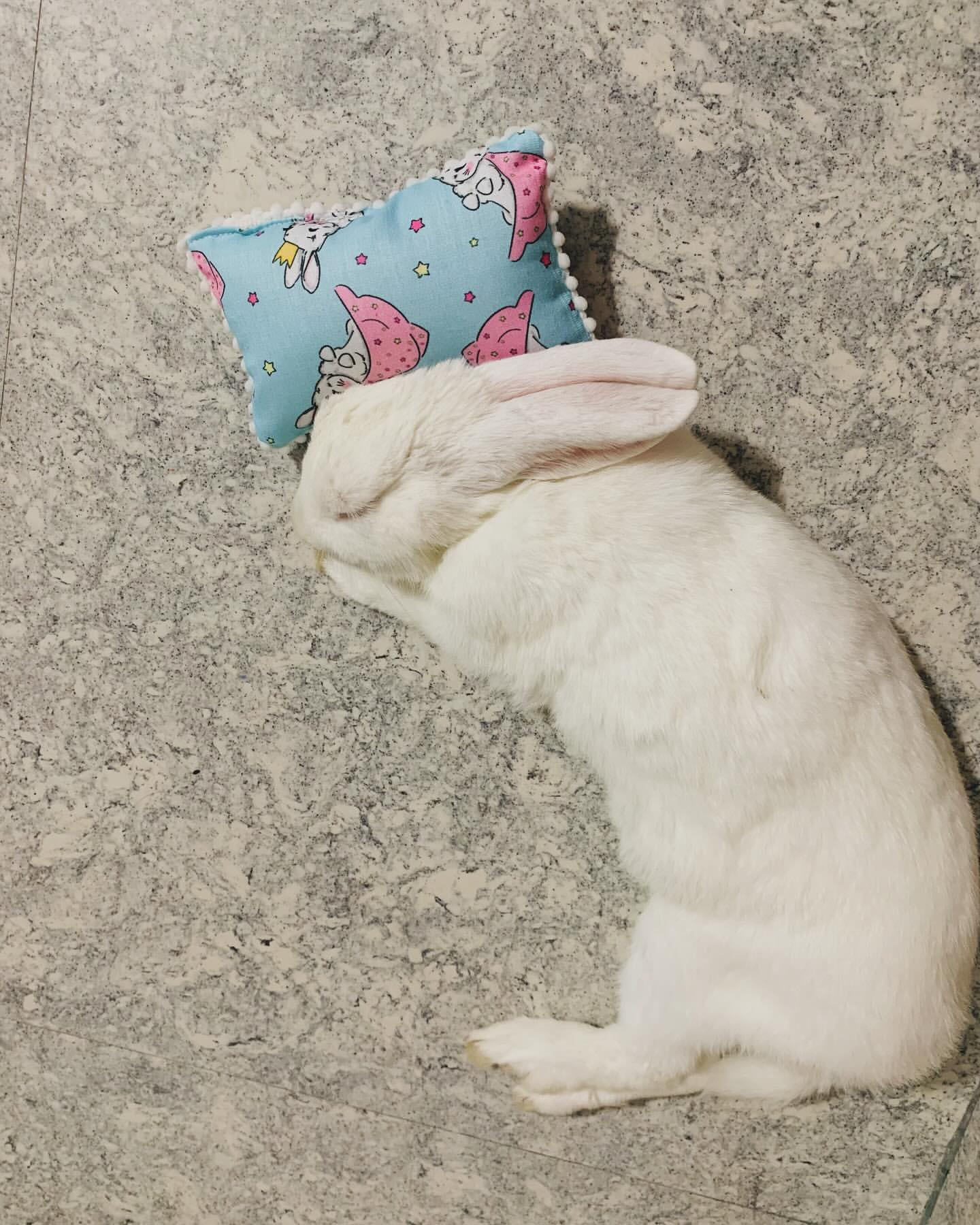 Cute sleeping Hazel